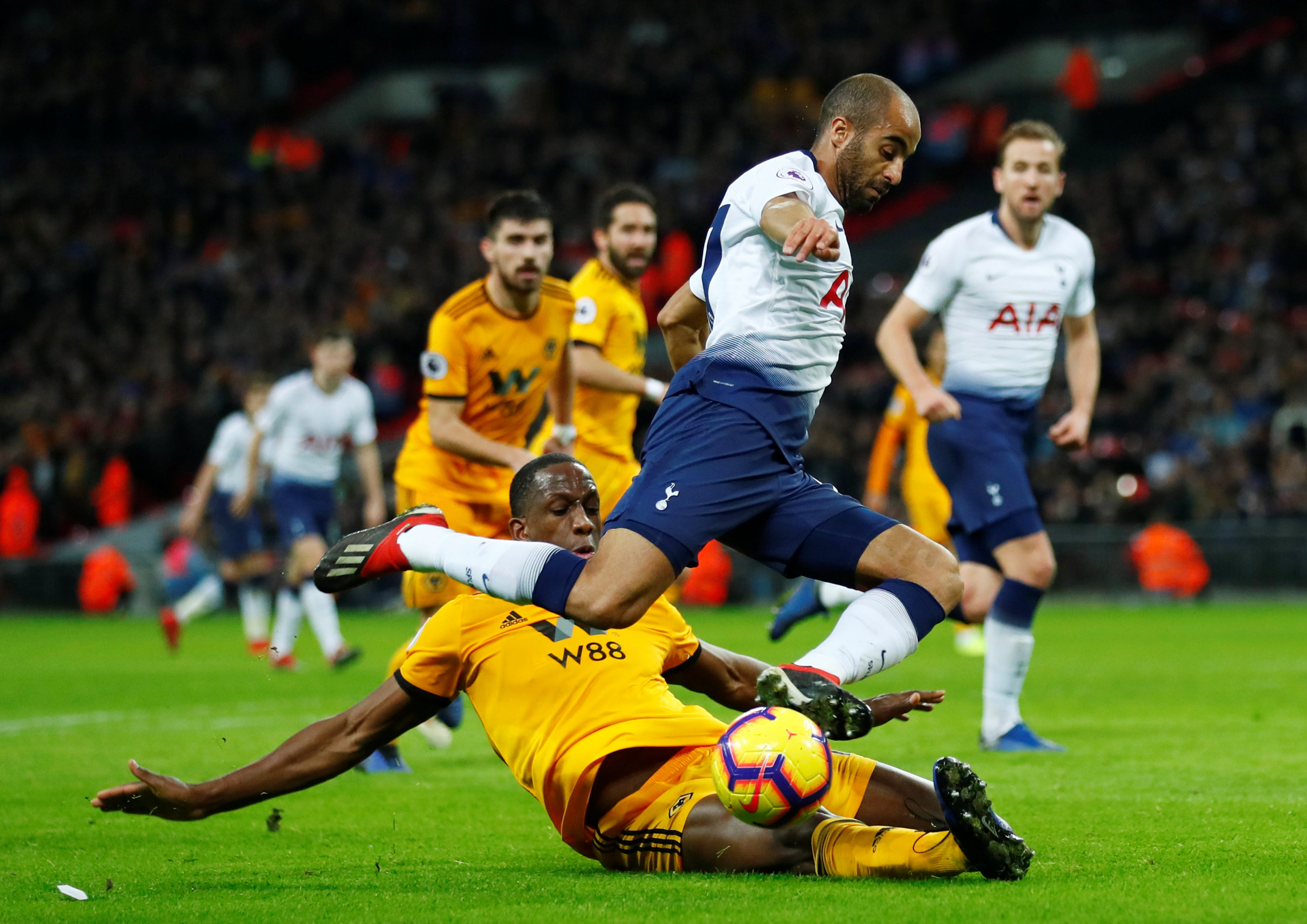 的专注与毅 的专注与毅